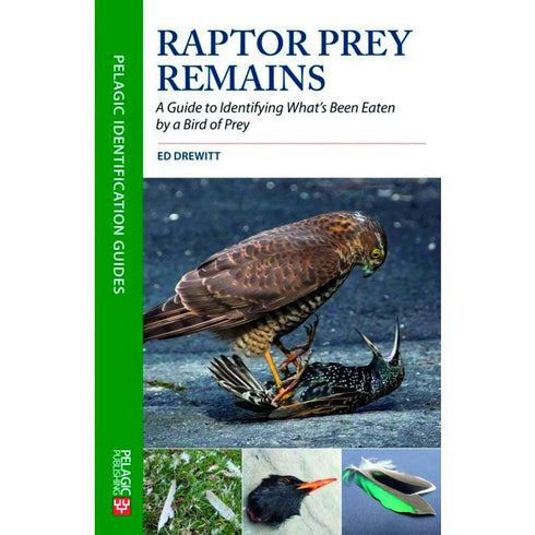 Raptor Prey Remains. A Guide to Identifying What’s Been Eaten by A Bird of Prey - Ed Drewitt 2020